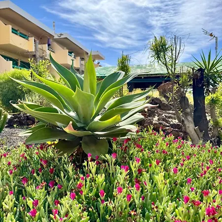 El Amanecer Apartamento Antigua (Fuerteventura)