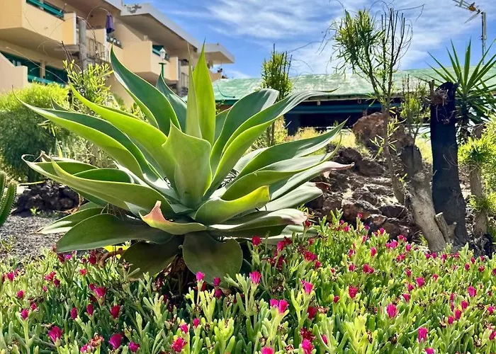 El Amanecer Apartament Antigua (Fuerteventura)